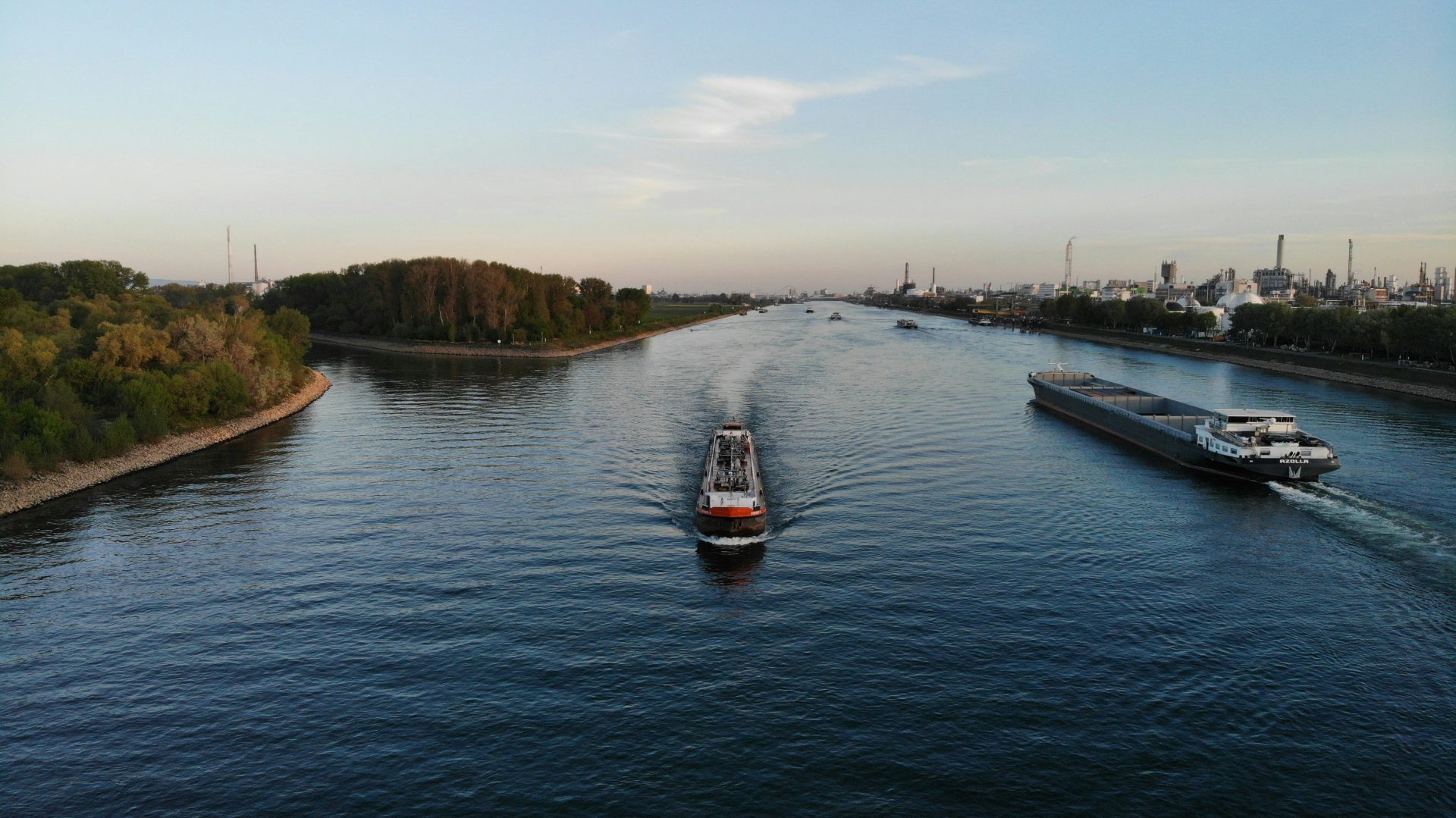 A boat traveling down a river next to a forest